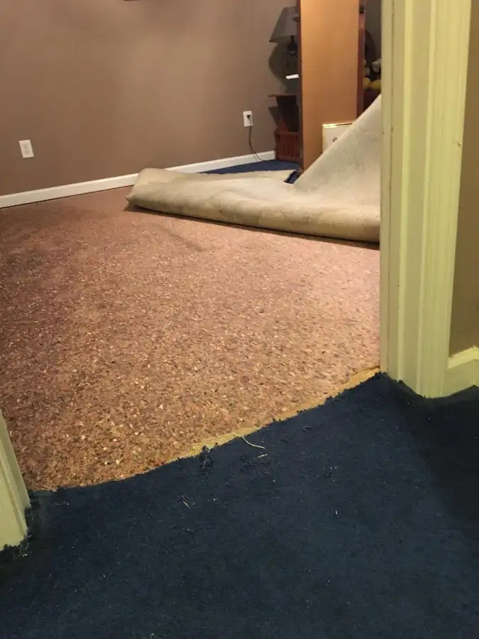 Carpet pad removal revealing water damage during Water Mitigation Services in Siesta Key