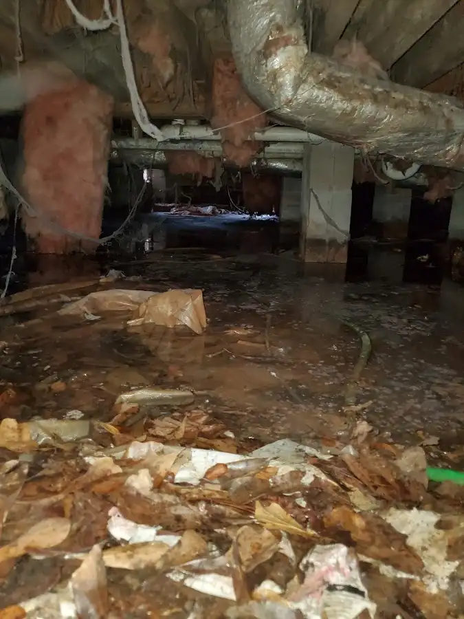 Crawl space flood assessment for Commercial Water Damage Restoration in Siesta Key